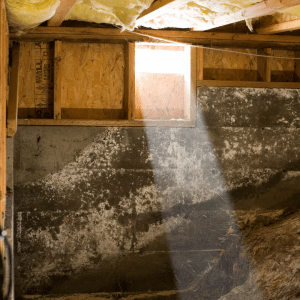 Mold Removal in Crawl spaces