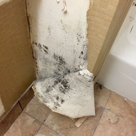 Remediation Group Provides Mold and Indoor Air-Quality Testing Remediation Group Provides Mold and Indoor Air-Quality Testing