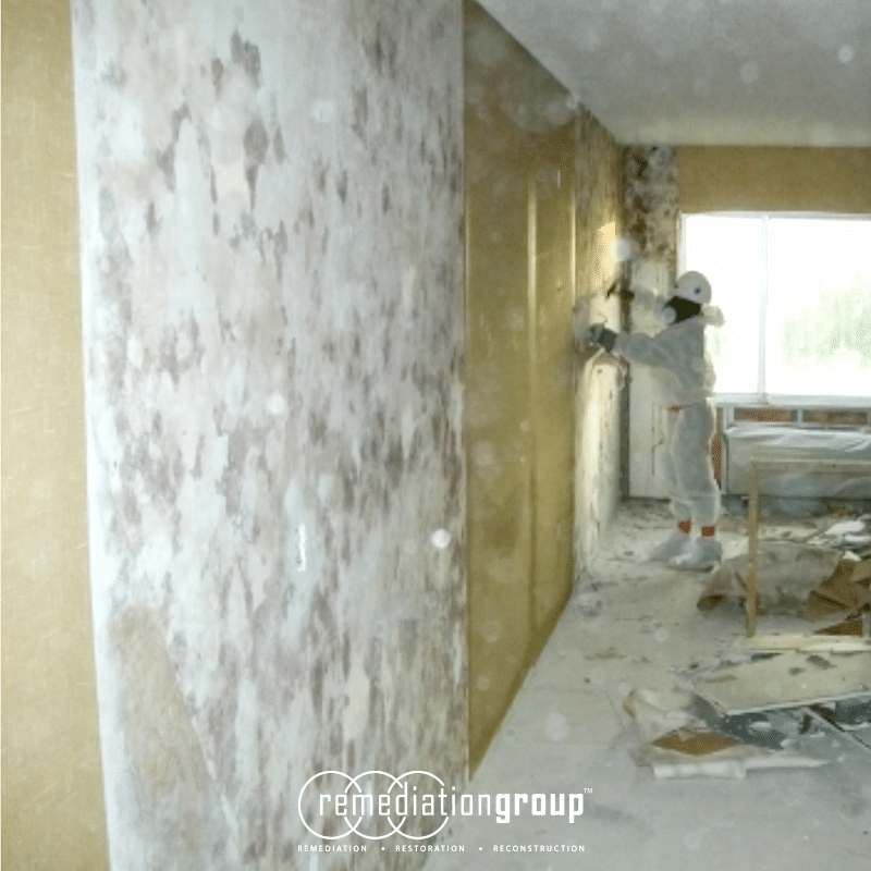Remediation Group Performs Mold Remediation Services