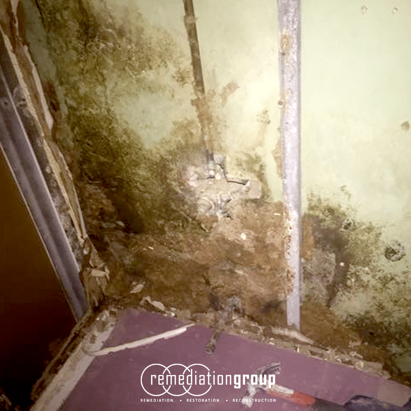 Remediation Group Provides Mold Remediation and Demolition Services Including Mold Removal in Crawl Spaces