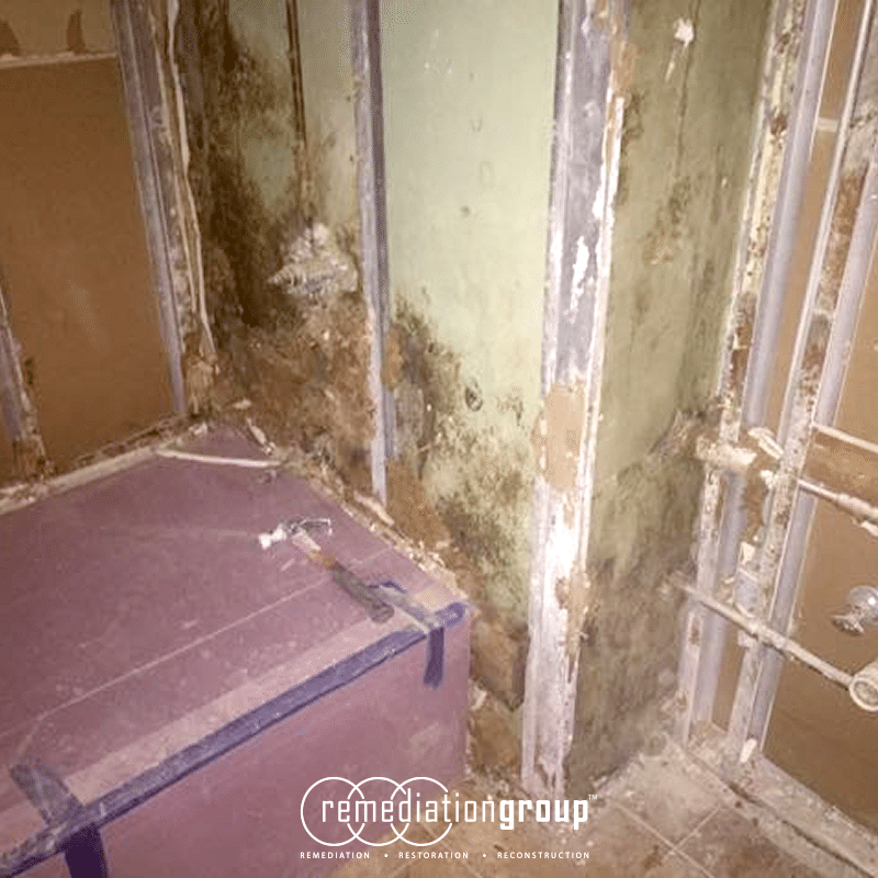 Remediation Group Provides Mold Remediation and Demolition Services