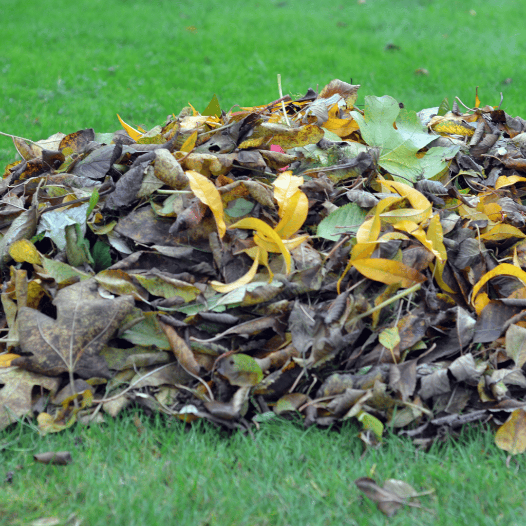 Mold Inspection and Testing in Atlanta - Pile of Leaves can contain mold